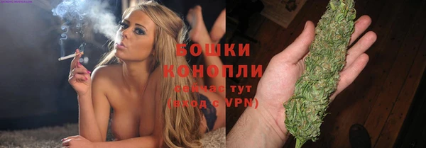 ПСИЛОЦИБИНОВЫЕ ГРИБЫ Чекалин