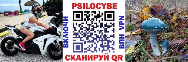 MEGA ТОР  что такое наркотик  Оренбург  Галлюциногенные грибы Cubensis 