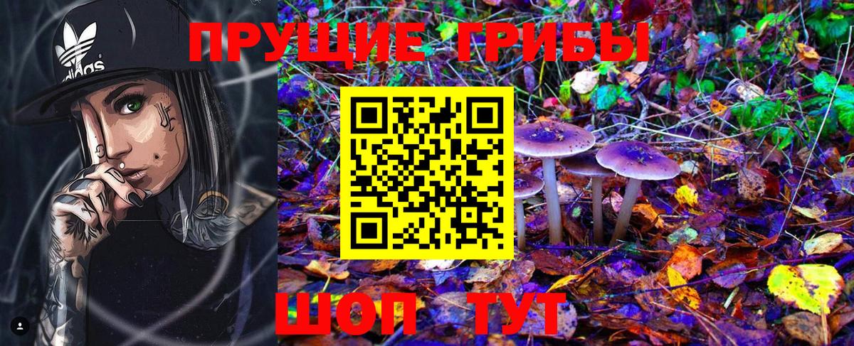 Оренбург  Галлюциногенные грибы Psilocybe  Вход с VPN 