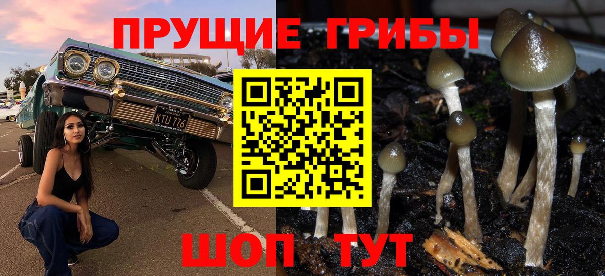 Галлюциногенные грибы мухоморы Оренбург